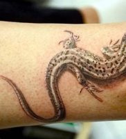 фото тату ящерица от 11.04.2018 №117 — tattoo lizard — tattoo-photo.ru