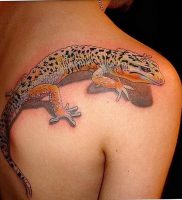 фото тату ящерица от 11.04.2018 №118 — tattoo lizard — tattoo-photo.ru