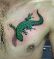 фото тату ящерица от 11.04.2018 №119 — tattoo lizard — tattoo-photo.ru