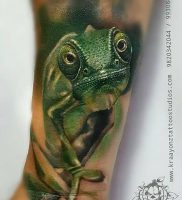фото тату ящерица от 11.04.2018 №120 — tattoo lizard — tattoo-photo.ru