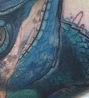 фото тату ящерица от 11.04.2018 №121 — tattoo lizard — tattoo-photo.ru