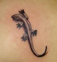 фото тату ящерица от 11.04.2018 №124 — tattoo lizard — tattoo-photo.ru