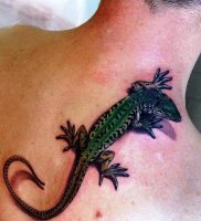 фото тату ящерица от 11.04.2018 №125 — tattoo lizard — tattoo-photo.ru