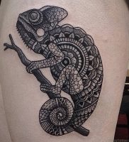 фото тату ящерица от 11.04.2018 №129 — tattoo lizard — tattoo-photo.ru