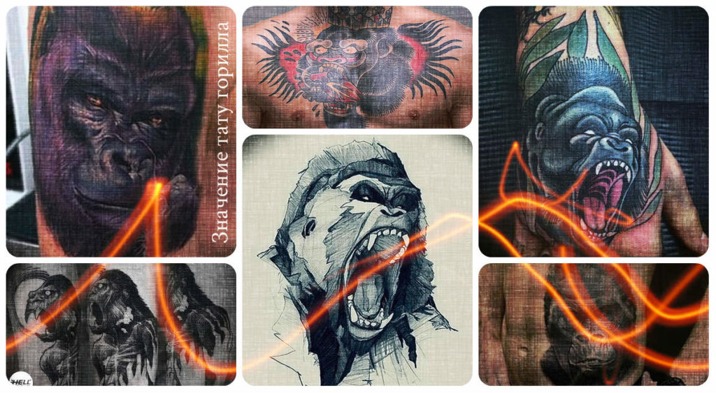 Значение тату горилла - фото примеры интересных готовых рисунков татуировки