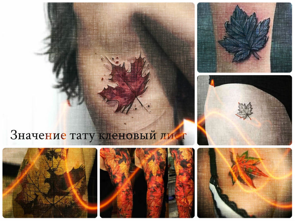 Татуировка клен: идеи и значимость в искусстве татуировки - slep-kostroma.ru