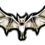 фото Эскизы тату летучая мышь от 11.04.2018 №016 - Sketches bat tattoo - tattoo-photo.ru