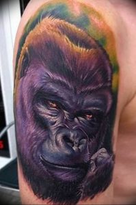 фото тату горилла от 27.03.2018 №002 - gorilla tattoo - tattoo-photo.ru