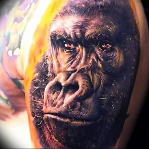 фото тату горилла от 27.03.2018 №005 - gorilla tattoo - tattoo-photo.ru