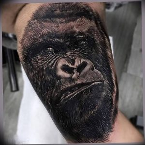 фото тату горилла от 27.03.2018 №046 - gorilla tattoo - tattoo-photo.ru