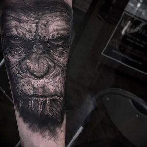 фото тату горилла от 27.03.2018 №053 - gorilla tattoo - tattoo-photo.ru