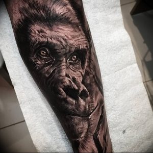 фото тату горилла от 27.03.2018 №071 - gorilla tattoo - tattoo-photo.ru