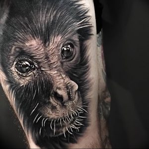 фото тату горилла от 27.03.2018 №072 - gorilla tattoo - tattoo-photo.ru