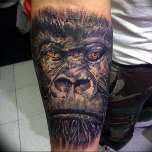 фото тату горилла от 27.03.2018 №075 - gorilla tattoo - tattoo-photo.ru