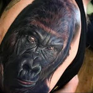 фото тату горилла от 27.03.2018 №085 - gorilla tattoo - tattoo-photo.ru