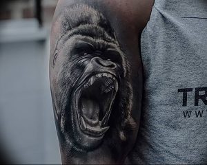 фото тату горилла от 27.03.2018 №102 - gorilla tattoo - tattoo-photo.ru