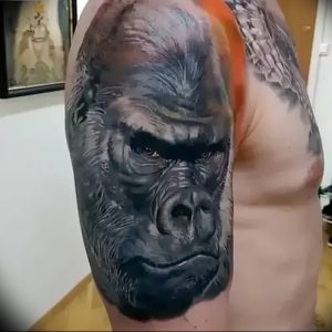 фото тату горилла от 27.03.2018 №104 - gorilla tattoo - tattoo-photo.ru