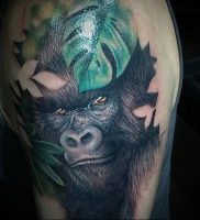 фото тату горилла от 27.03.2018 №110 — gorilla tattoo — tattoo-photo.ru