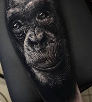 фото тату горилла от 27.03.2018 №112 — gorilla tattoo — tattoo-photo.ru