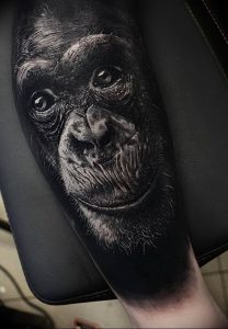 фото тату горилла от 27.03.2018 №112 - gorilla tattoo - tattoo-photo.ru