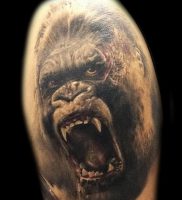 фото тату горилла от 27.03.2018 №113 — gorilla tattoo — tattoo-photo.ru