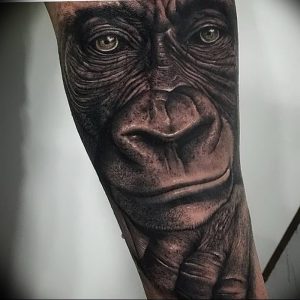 фото тату горилла от 27.03.2018 №123 - gorilla tattoo - tattoo-photo.ru