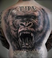 фото тату горилла от 27.03.2018 №125 — gorilla tattoo — tattoo-photo.ru