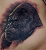 фото тату горилла от 27.03.2018 №127 — gorilla tattoo — tattoo-photo.ru
