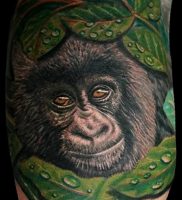 фото тату горилла от 27.03.2018 №129 — gorilla tattoo — tattoo-photo.ru
