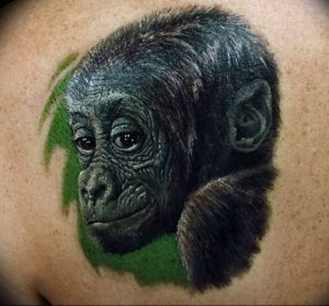 фото тату горилла от 27.03.2018 №130 - gorilla tattoo - tattoo-photo.ru