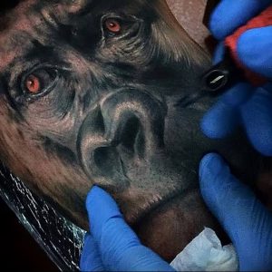 фото тату горилла от 27.03.2018 №146 - gorilla tattoo - tattoo-photo.ru