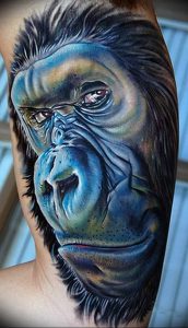 фото тату горилла от 27.03.2018 №150 - gorilla tattoo - tattoo-photo.ru