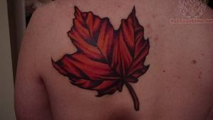 фото тату кленовый лист от 14.04.2018 №054 - maple leaf tattoo - tattoo-photo.ru