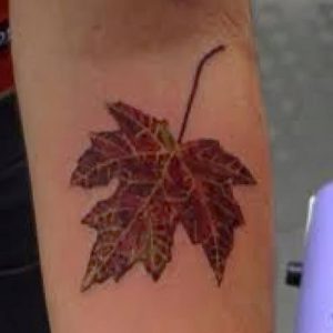 фото тату кленовый лист от 14.04.2018 №056 - maple leaf tattoo - tattoo-photo.ru