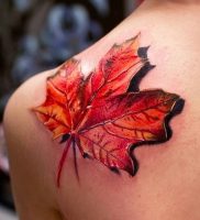 фото тату кленовый лист от 14.04.2018 №083 — maple leaf tattoo — tattoo-photo.ru