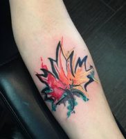 фото тату кленовый лист от 14.04.2018 №084 — maple leaf tattoo — tattoo-photo.ru