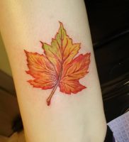 фото тату кленовый лист от 14.04.2018 №085 — maple leaf tattoo — tattoo-photo.ru