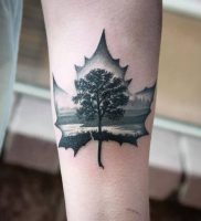 фото тату кленовый лист от 14.04.2018 №086 — maple leaf tattoo — tattoo-photo.ru