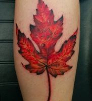 фото тату кленовый лист от 14.04.2018 №090 — maple leaf tattoo — tattoo-photo.ru
