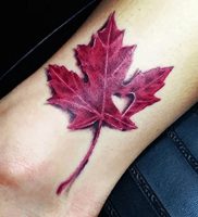 фото тату кленовый лист от 14.04.2018 №091 — maple leaf tattoo — tattoo-photo.ru