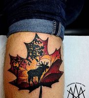 фото тату кленовый лист от 14.04.2018 №092 — maple leaf tattoo — tattoo-photo.ru