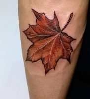 фото тату кленовый лист от 14.04.2018 №095 — maple leaf tattoo — tattoo-photo.ru