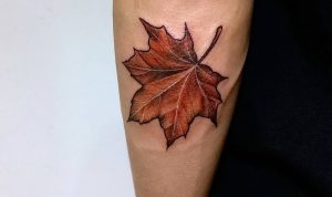 фото тату кленовый лист от 14.04.2018 №095 - maple leaf tattoo - tattoo-photo.ru