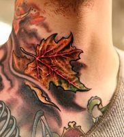 фото тату кленовый лист от 14.04.2018 №098 — maple leaf tattoo — tattoo-photo.ru