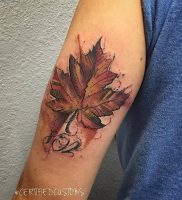 фото тату кленовый лист от 14.04.2018 №102 — maple leaf tattoo — tattoo-photo.ru