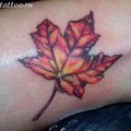 фото тату кленовый лист от 14.04.2018 №159 - maple leaf tattoo - tattoo-photo.ru