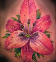 фото тату королевская лилия от 08.04.2018 №001 — tattoo royal lily — tattoo-photo.ru