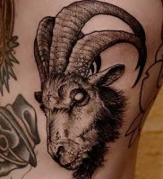 фото тату рога от 08.04.2018 №018 — tattoo horn — tattoo-photo.ru