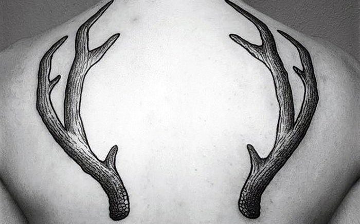 фото тату рога от 08.04.2018 №029 - tattoo horn - tattoo-photo.ru