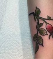фото тату шиповник от 13.04.2018 №004 — Tattoo rosehip — tattoo-photo.ru